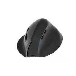 MOUSE WIRELESS ERGONOMICO VERTICALE EQUIP